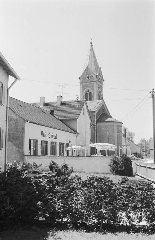 Aschenwald